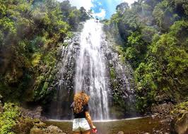 1-Day  Tanzania Safari Adventure Materuni Waterfall Experienc & Hotspring