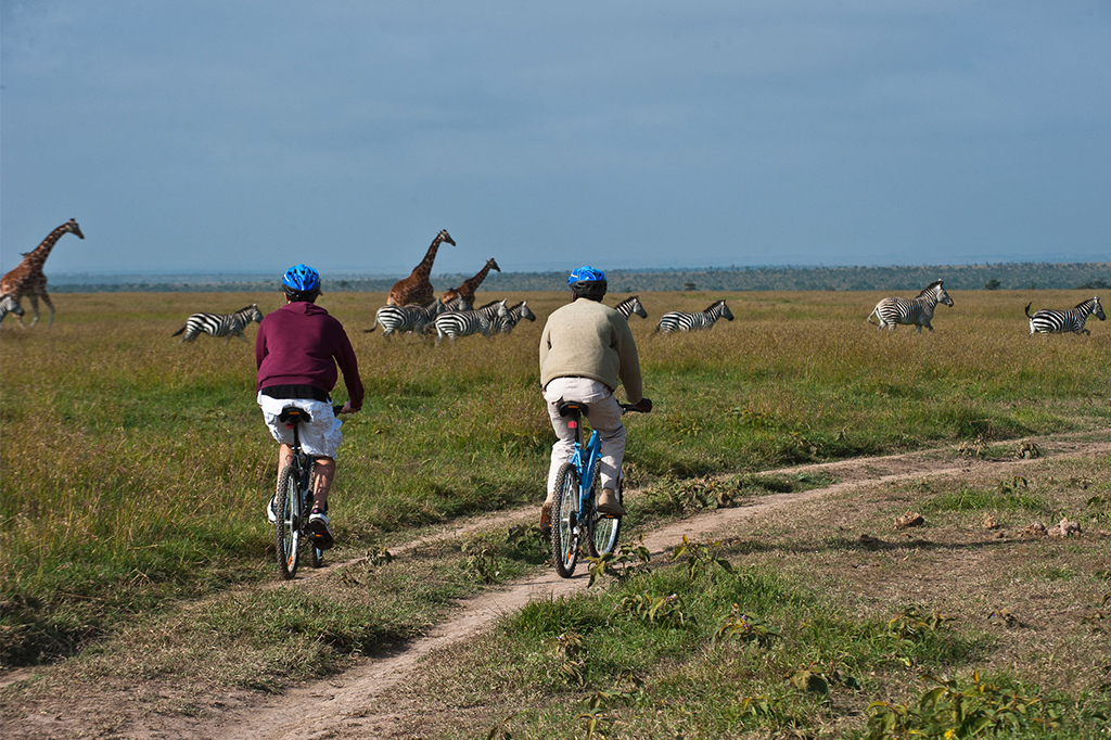 Cycling Tours 