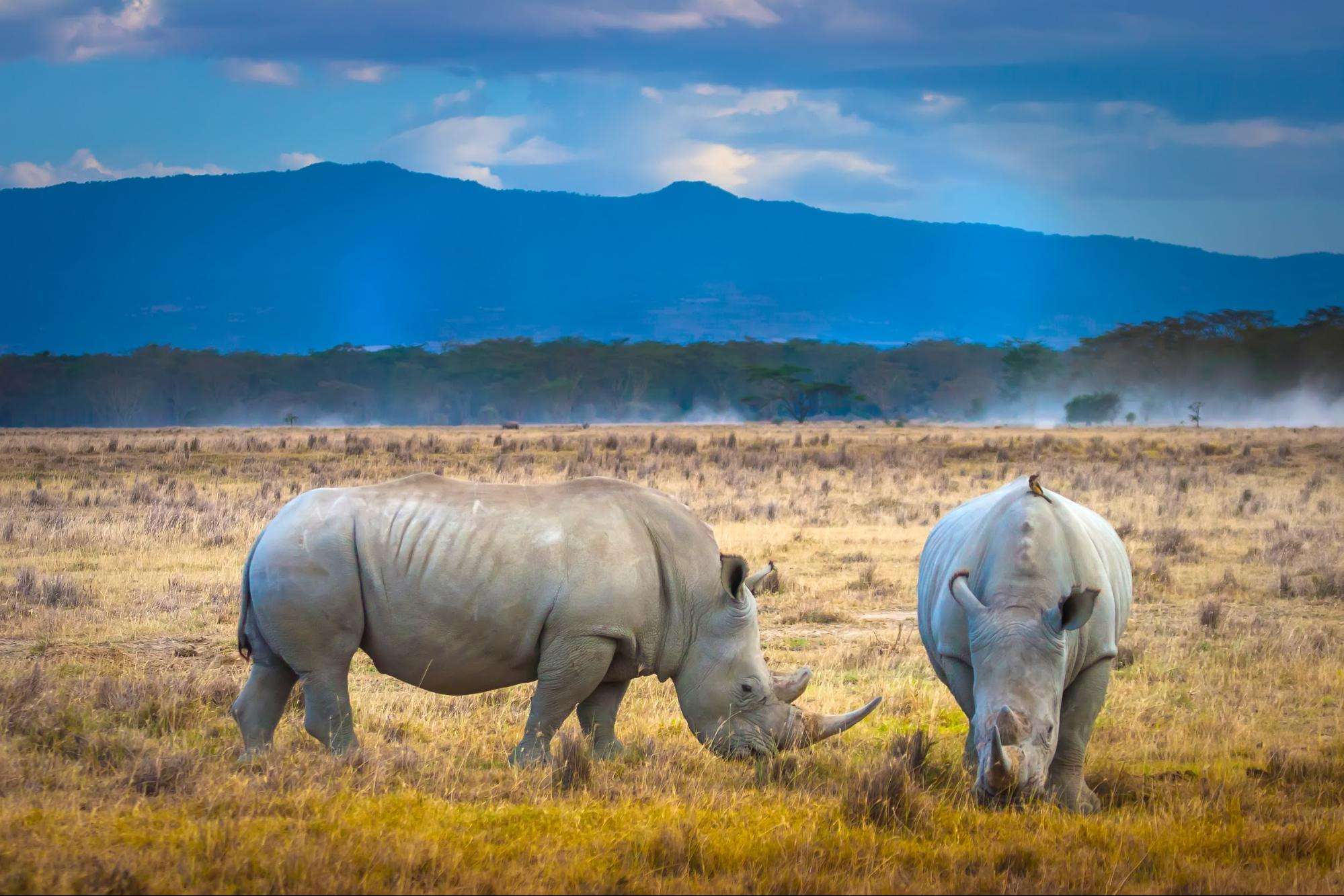 Day Trips in Tanzania