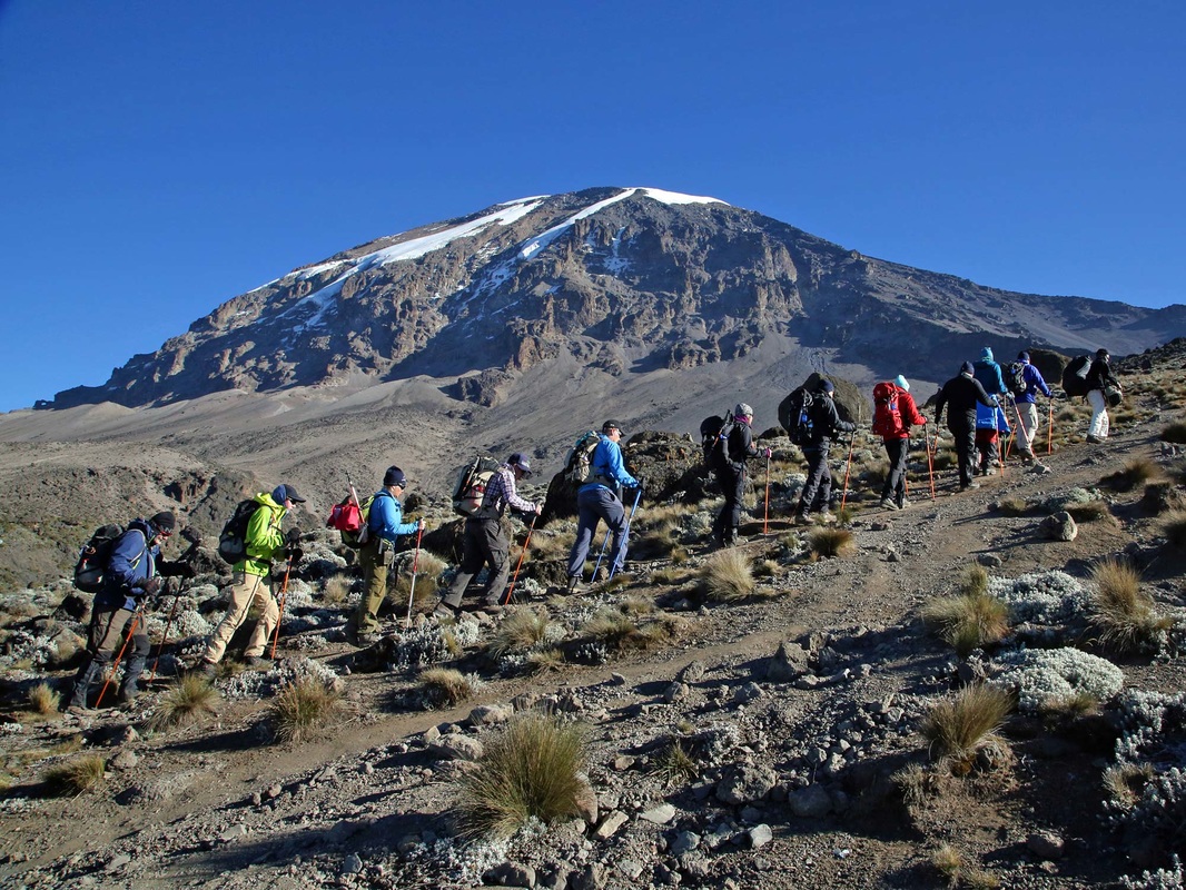 Kilimanjaro Climbing Tours