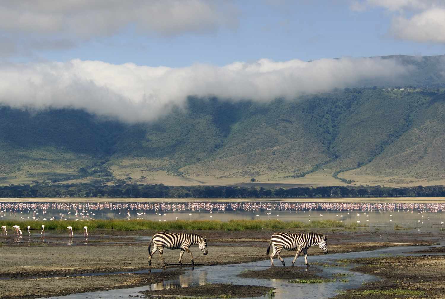 Ngorongoro Crater 