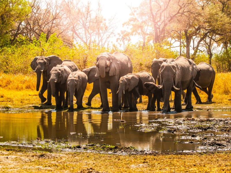 Nyerere National Park