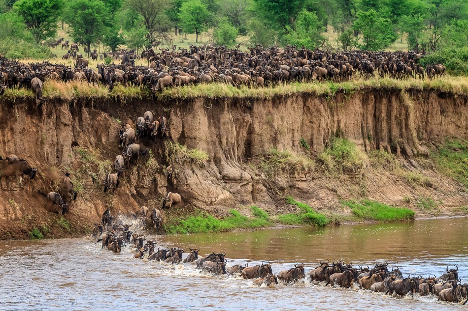 The Great Migration
