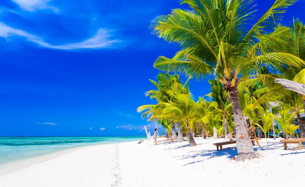 Zanzibar Beach Holiday